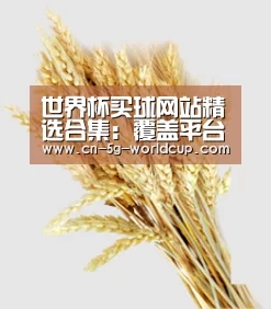 世界杯买球网站精选合集：覆盖平台排行与入口方式 - 2026世界杯